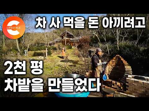 허허벌판 위 집 짓겠다고 먼저 산골로 떠난 남편. 여섯 가구만 남은 마을 꼭대기에 2천 평 차밭을 만들고 집까지 지어 아내를 기다린 남편의 계획ㅣ#한국기행