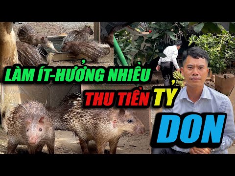 LÀM ÍT - HƯỞNG NHIỀU THU TIỀN TỶ , DON | CHANNUOI.NET