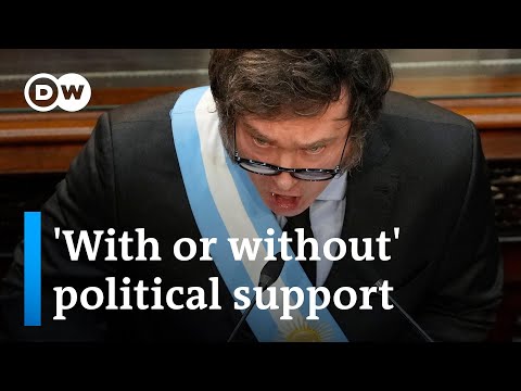 President Javier Milei wants to push through reforms of the Argentinian economy | DW News