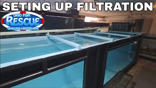 Setting up filtration on the 3500g tank