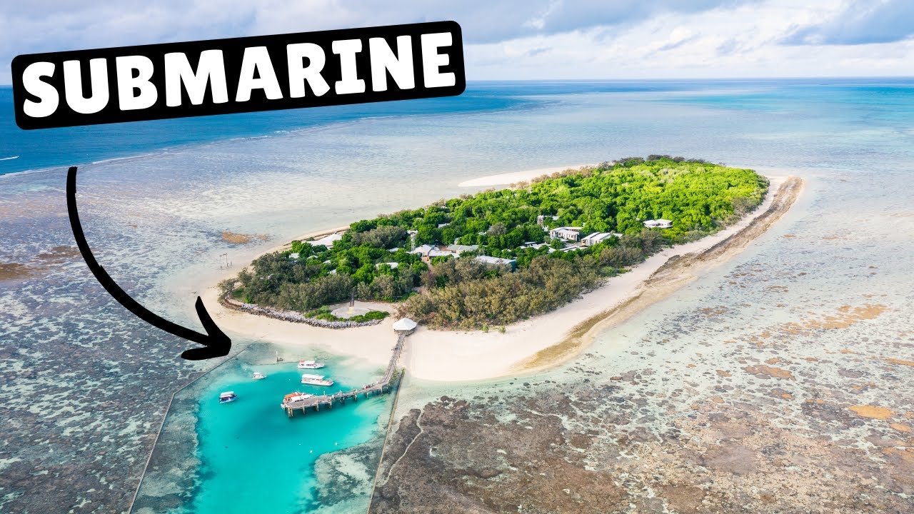 GREAT BARRIER REEF SUBMARINE (first night dive)