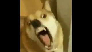 PEAK พี่จ๋า