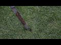 Lawn Care and Thatch Management