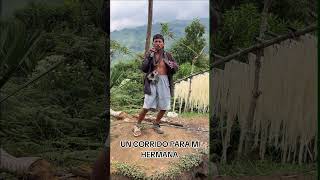 Un Corrido para mi Hermana