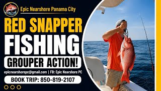 Red Snapper Fishing in Panama City Beach | Grouper Action!