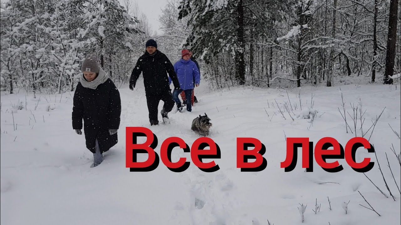В гости приехала подписчица, которая купила нашу маленькую Зинку. Прогулка по зимнему лесу.