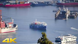 August 5, 2026:Brand new vessel DORY2was seen(In Timelapse mode) docking in Papeete for the 1st time