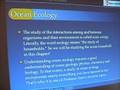 Ocean Ecology and Food Webs