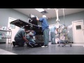 Medical Engineering Responsibilities and Challenges