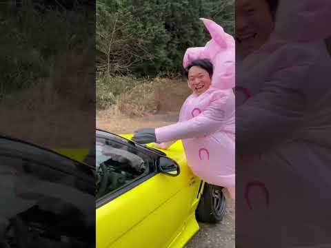 ハシャギすぎて壁に激突！？#shorts