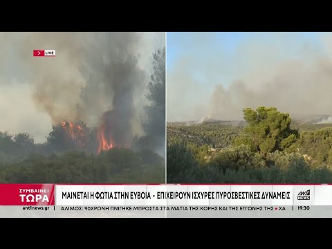 Εύβοια: Σκληρή μάχη με τις φλόγες και εκκενώσεις οικισμών