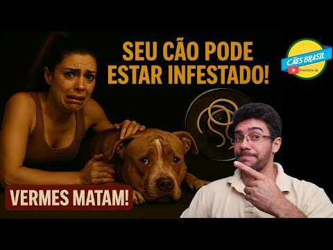 ✅ Vermífugo Para Cachorro: Quando Usar, Como Funciona e Doses 🐕