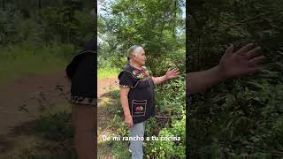 No me Escupas Comadrita, Una hierba peligrosa en el rancho #demiranchoatucocina #comidamexicana
