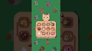 Cat & Farm Pals Safari modu yayında!🦁#indiegame #gamedev #game
