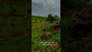 قصة جديدة من التراث الحساني الأصيل