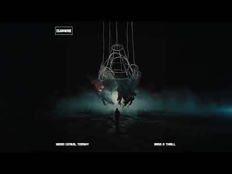 Weird Genius & Tomsky - Bass & Thrill (Visualizer)
