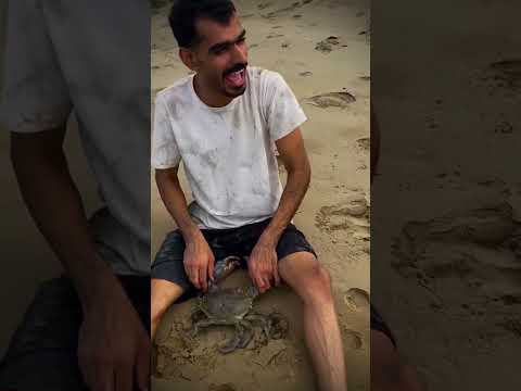 30 октября 2025 г.