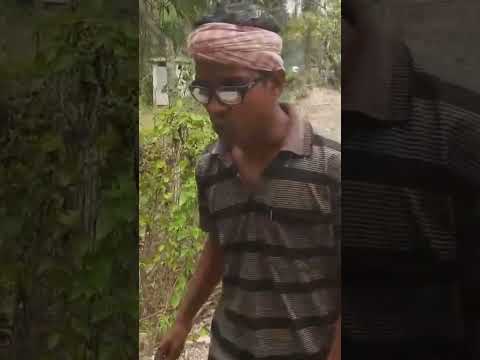 দম ফাটা হাসির ভিডিও 🤣😂 #shorts #funny #comedy