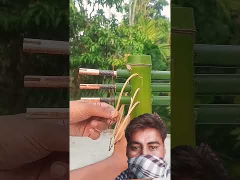 Bamboo Creations with 3 arrow, This is a bamboo toy slingshots. I hope you enjoy this video.