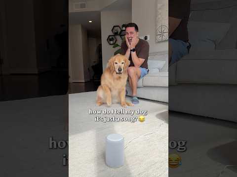 We had to ban this song in our house ๐ฌ