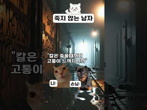 죽지않는남자 #고양이밈