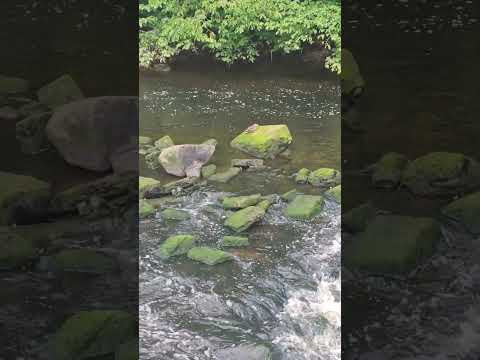 #shortvideo#scotland