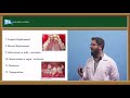 Malocclusion Classification and Characteristics
