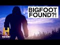 Bigfoot Encounters and Evidence