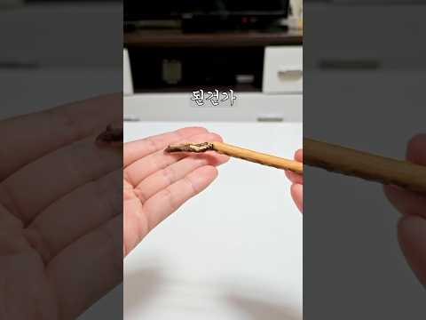 빼빼로 이거 해 본 사람