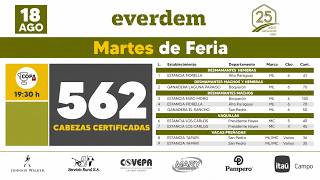 EN VIVO | Feria de Invernada por pantalla • Everdem