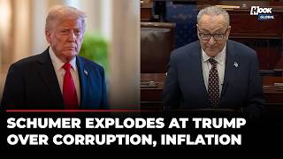 'Trump Didn't Bother Making A Deal With...': Schumer Absolutely Torches US President Over Corruption