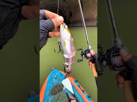 Man Tried Fake Fishing Trick 🐠🔥
