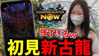 初めての「新古龍」2体に挑戦してみた結果ｗｗｗ【モンハンNow】