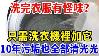 洗完衣服有怪味？只需洗衣機裡加它，10年污垢也全部清光光！#養之道#健康#中老年#養生