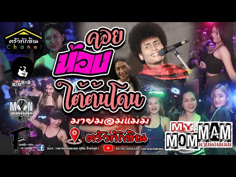 คอยน้องใต้ต้นโดน - มายมอมแมม(ต้นฉบับ เเสงทองอโนไทย)