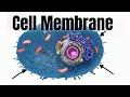 Exploring Cell Membrane Structure and Function