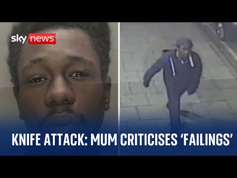 Mum criticises 'astonishing failings' after 'missed opportunities' to identify son's killer