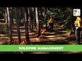 Forest Management and Prescribed Fire Concepts
