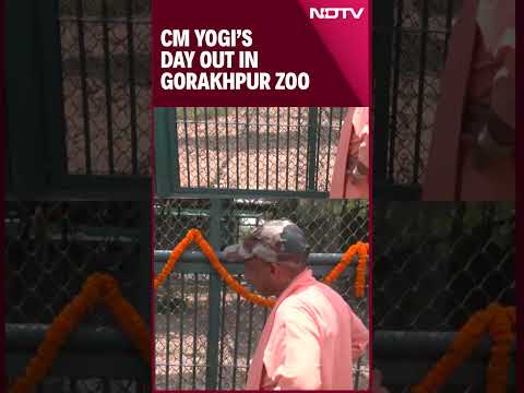 UP CM Yogi Takes Stock Of Arrangements At Gorakhpur Zoo Amid Heatwave