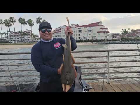 Coronado Ferry Landing Weekend Blitz 