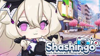 【Shashingo】 Let's go brain you can do this 【VOLs】