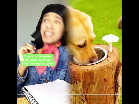#livewallpaper #meditationmusic #goodnight #music #moon #comedymusic #storytime