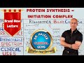 Ribosome Function and Protein Synthesis