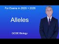 Genetics: Alleles and Chromosomes