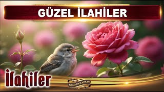 Gül İle Bülbül / Sevenler katlanırmış dikenlere / En güzel İlahiler / Ağlatan İlahiler dinle