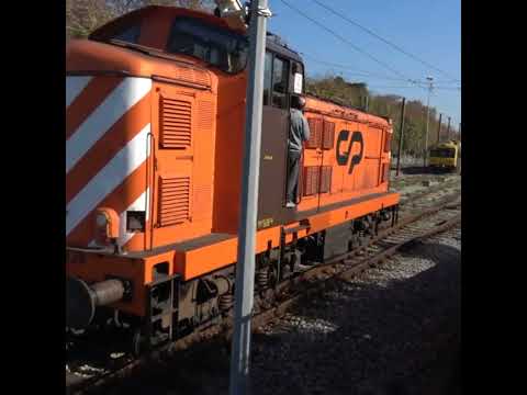 CP 1436 arrives at Park #subscribe #views #railway #cp1400 #dieselengine #diesellocomotive