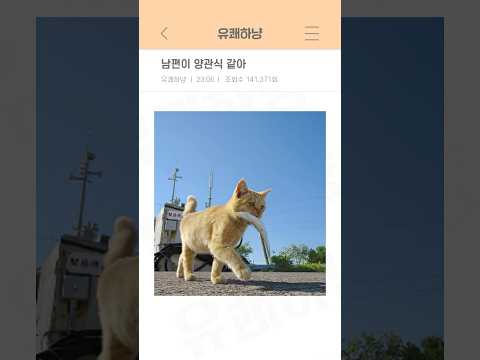 남편이 양관식 같아