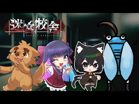 thumbnail_redTFAaX_zQ