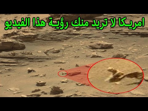 امريكا لا تريد منك رؤية هذا المقطع صدق الرسول ﷺ  ..!!