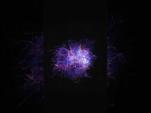 EVERY AI Startup video these days 🤦‍♂️